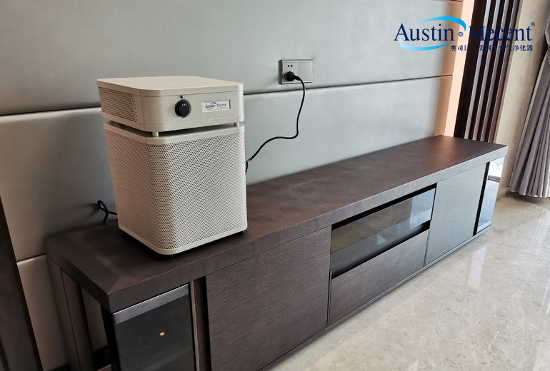 室內(nèi)裝飾建議用地毯嗎？環(huán)保材料是無甲醛嗎？